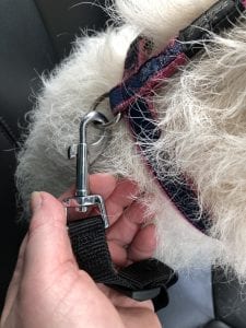 Dog seat belt attachment harness clip | 1 Dog At a Time Rescue UK | Dedicated To Rescuing and Rehoming Romanian Street Dogs