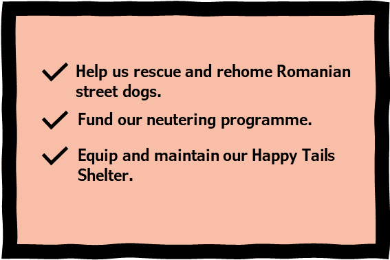 How a gift in your will helps | 1 Dog At a Time Rescue UK | Dedicated To Rescuing and Rehoming Romanian Street Dogs